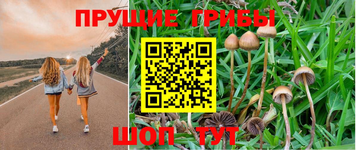 Галлюциногенные грибы Psilocybine cubensis  Вход с VPN  Кубинка 